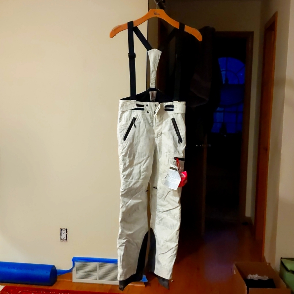 Ski Pants - image 1